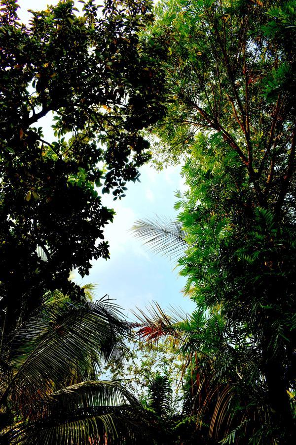 Villa Tulip Garden Holambra Exterior foto